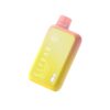 ELF BAR BC10000 Disposable Peach Mango 10000 hơi thở 620mAh